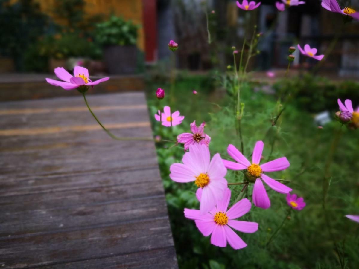 Dao Bian Inn Жангжиаже Екстериор снимка