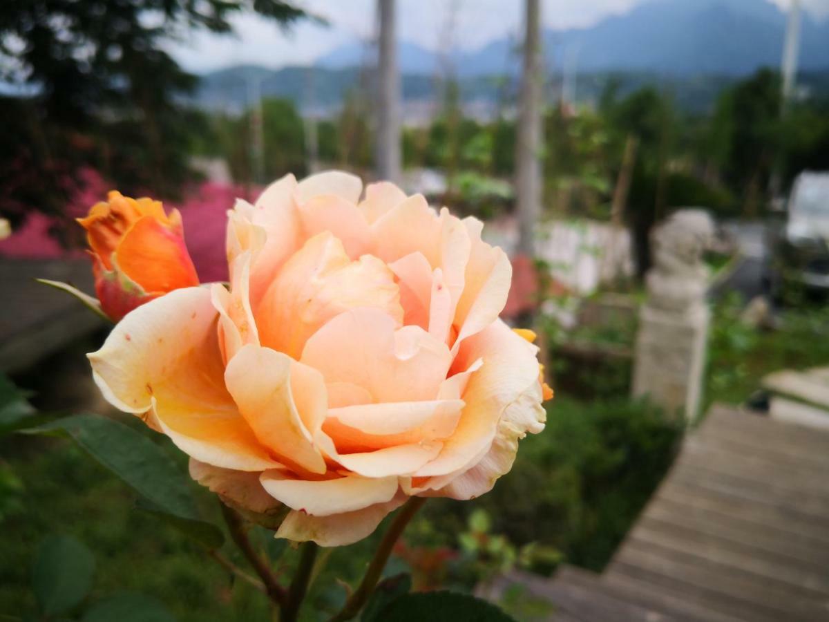 Dao Bian Inn Жангжиаже Екстериор снимка